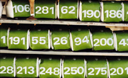 green-number-markers